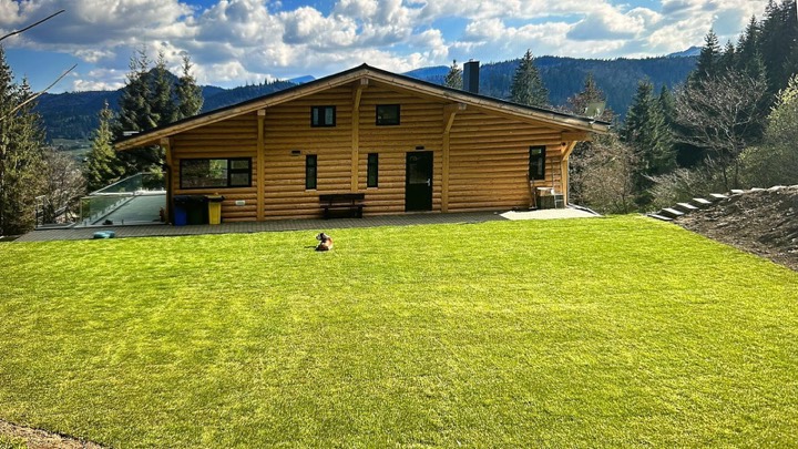 Proiect DG WoodenHouse, vedere exterioară 3